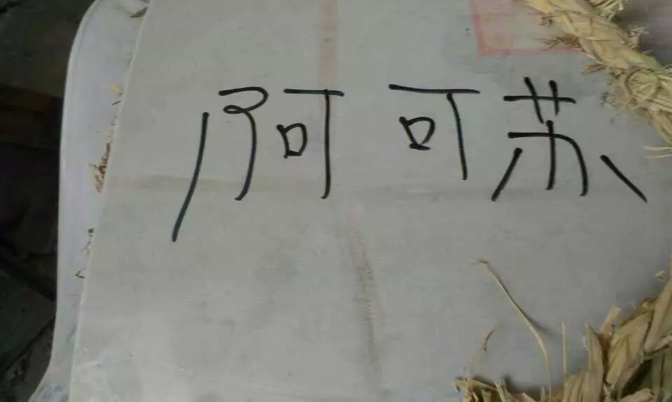 一品鮮食品機械一天發(fā)六家客戶